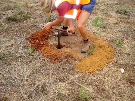 soil1